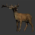 Realistic Deer Sculpture With Large Antlers Open Mouth And Standing Pose