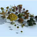 Diverse Arbor Trees With Various Colors Different Shapes And Unique Forms Collection 3d model