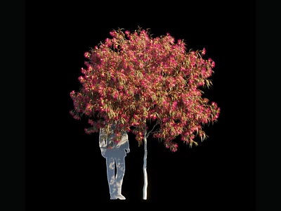 Lush Arbor With Pink Flowers White Trunk And Silhouette Against Black Background 3d model