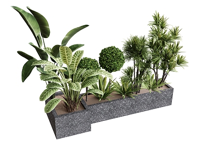 Plant combination flower plant green plant box tropical plant traveler plantain tortoise leaf 3d model