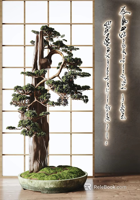 Traditional Japanese Pine Bonsai Tree with Wooden Lattice Window and Natural Green Foliage 3d model 