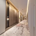 Elegant Elevator Hallway With Wooden Doors Warm Lighting Decorative Column Potted Plant And Patterned Carpet