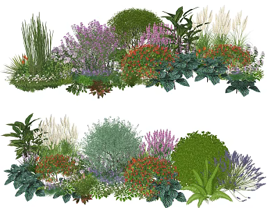 Colorful Garden Plant Combination With Purple Red Blooms Shrubs And Green Foliage 3d model