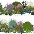 Colorful Garden Plant Combination With Purple Red Blooms Shrubs And Green Foliage