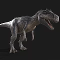 Realistic 3D T Rex Dinosaur Model With Open Mouth Sharp Teeth On Black Background 3d model