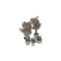 Decorative Garden Plants In White Planters With Potted Trees Natural Branches And Foliage