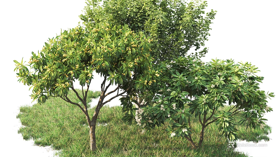 Vibrant Arbor Trees With Lush Green Leaves Growing On Grassy Field 3d model 