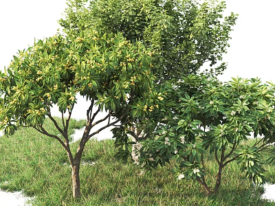 Vibrant Arbor Trees With Lush Green Leaves Growing On Grassy Field 3d model