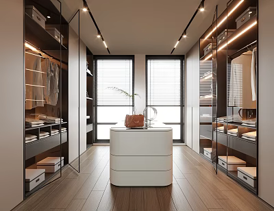Modern Walk in Closet Interior With Double Sided Cabinets White Dresser Windows And Wooden Floors 3d model