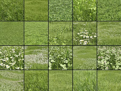 Collage of Various Green Grasses and White Flowers in Natural Scenery 3d model