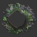 Green Moss Plants Growing On Textured Tree Stump With Natural Foliage