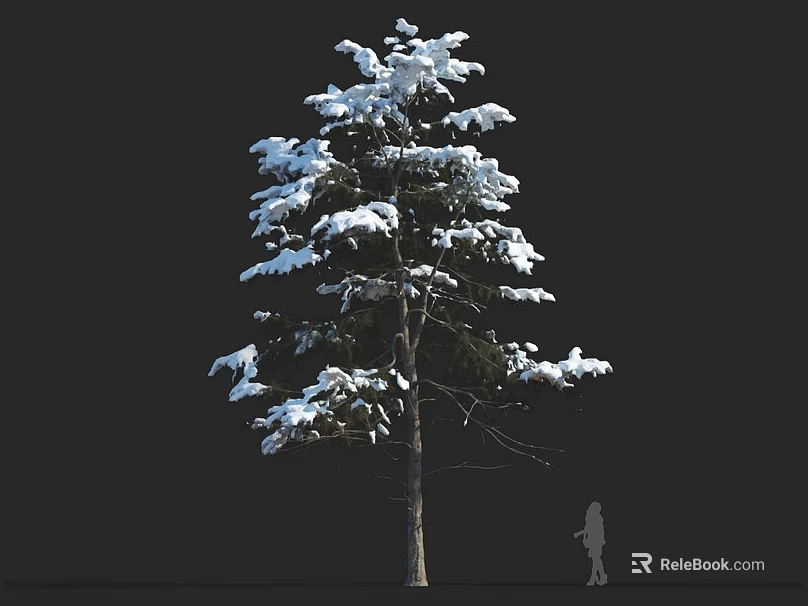 Snow Covered Tall Arbor With Green Branches Against Black Background And Human Silhouette 3d model 