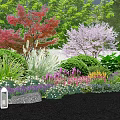 Colorful Flowers And Plants In Lush Garden With Vibrant Blooms And Natural Greenery