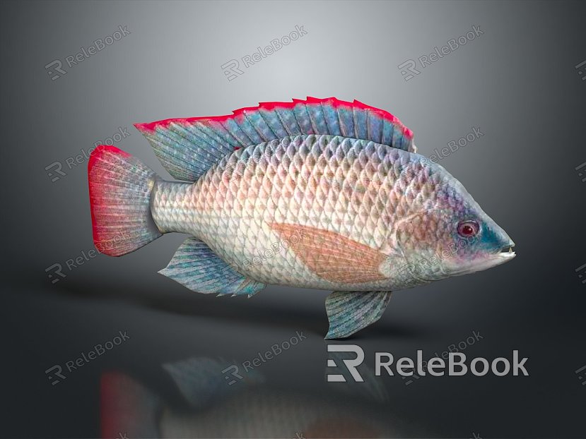 modern fish freshwater fish marine fish animal model