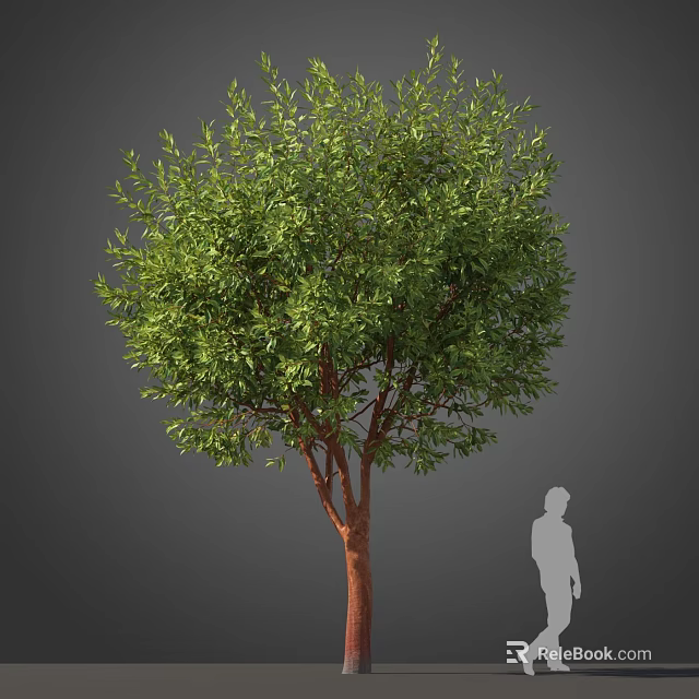 Tall Green Tree With Lush Leaves And Brown Trunk Showcasing Size With Human Figure 3d model 