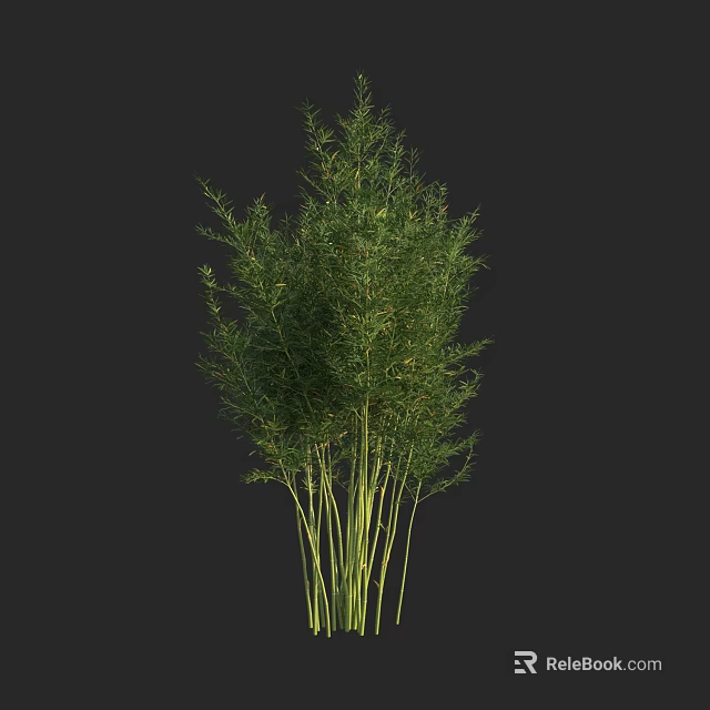 Fresh Green Bamboo Clusters With Lush Leaves And Tall Stems In Natural Growth 3d model 