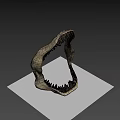 Detailed Shark Jawbone Display With Sharp Teeth And Anatomical Structure 3d model