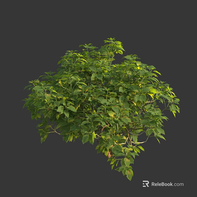 Lush Green Shrub with Dense Foliage and Vibrant Leaves for Garden Landscaping Healthy Branches 3d model 