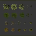 Various Green Plants with Different Shapes and Sizes for Garden or Indoor Use