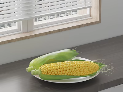 Fresh Corn Vegetable on White Plate on Gray Kitchen Counter Near Window with Blinds 3d model