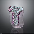 Tooth Organ Internal Structure With Colorful Granular And Microscopic Anatomy Details