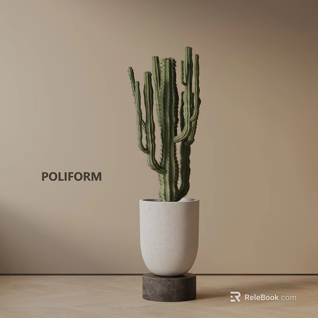 Cactus Potted Plant In White Ceramic Pot With Beige Wall Background And Modern Minimalist Style 3d model 