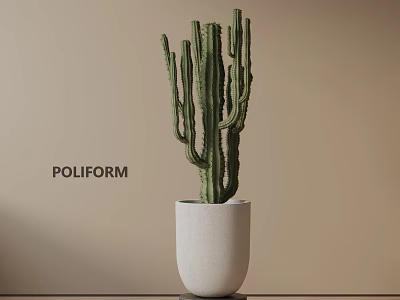 Cactus Potted Plant In White Ceramic Pot With Beige Wall Background And Modern Minimalist Style 3d model