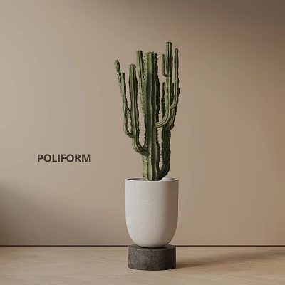 Cactus Potted Plant In White Ceramic Pot With Beige Wall Background And Modern Minimalist Style 3d model
