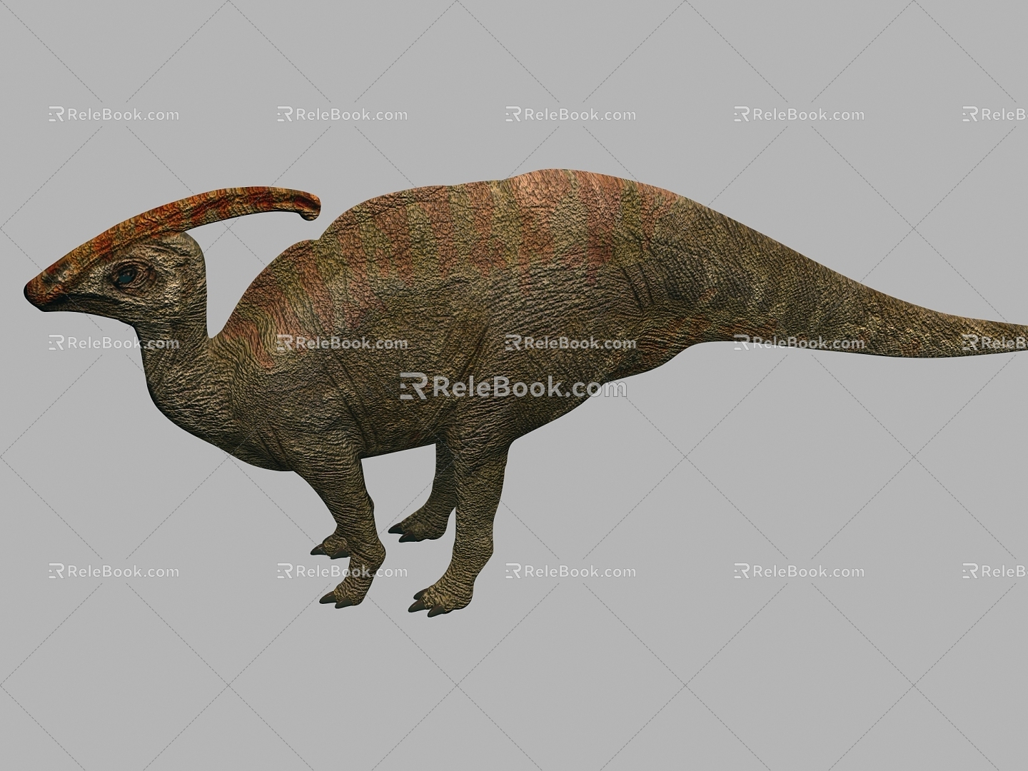 Dinosaurs 3d model