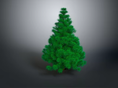 Tall Green Pine Tree With Dense Foliage Isolated On Gray Background 3d model