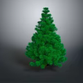 Tall Green Pine Tree With Dense Foliage Isolated On Gray Background