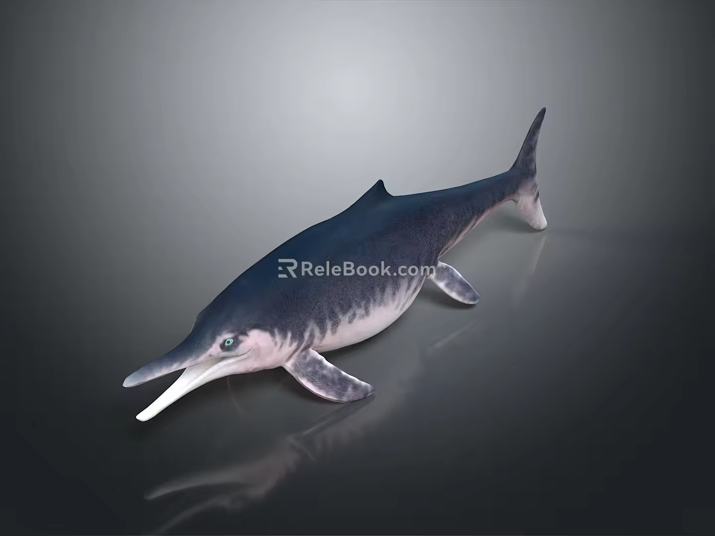 Spotting Dolphin Cartoon Dolphin Animation Dolphin Animation Dolphin Animation Character Game Character 3d model