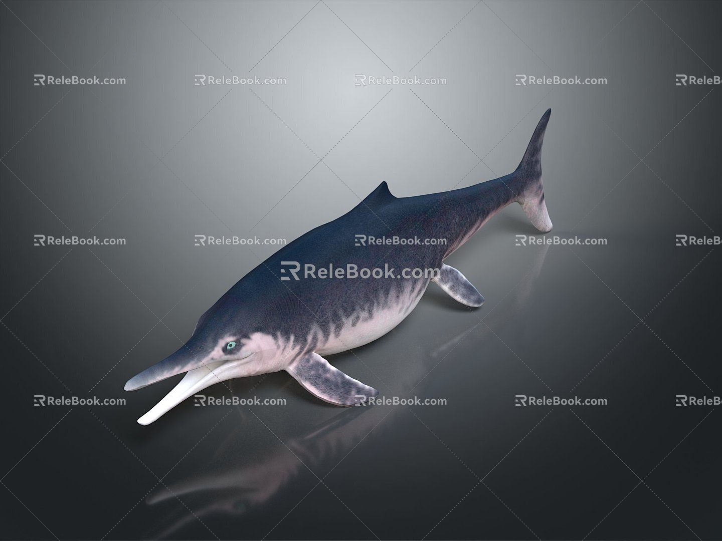 Spotting Dolphin Dolphin Cartoon Dolphin Animation Dolphin Animation Dolphin Animation Character Game Character 3d model