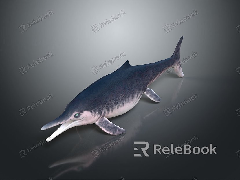 Spotting Dolphin Dolphin Cartoon Dolphin Animation Dolphin Animation Dolphin Animation Character Game Character model