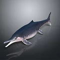 Spotting Dolphin Cartoon Dolphin Animation Dolphin Animation Dolphin Animation Character Game Character 3d model