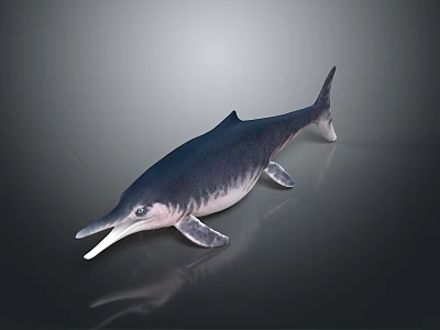 Spotting Dolphin Cartoon Dolphin Animation Dolphin Animation Dolphin Animation Character Game Character 3d model