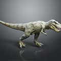 Realistic Tyrannosaurus Rex Dinosaur Model in Standing Posture With Sharp Teeth 3d model