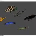 Diverse Aquatic Animals Featuring Striped Fish Shark Yellow Spotted Blue And Green Species