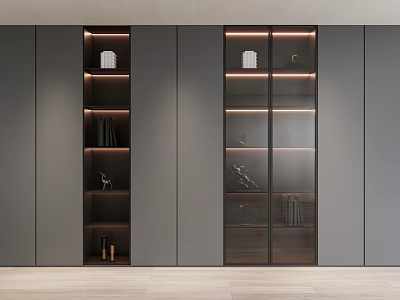Modern Built In Bookcase With Glass Doors And Interior Lighting 3d model