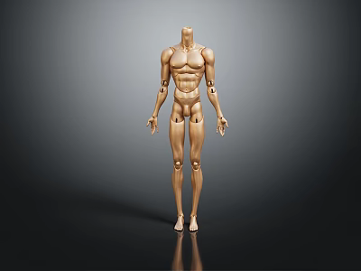 Medical Device Human Anatomy Model for Medical Education with Detailed Skeletal And Muscular Structure 3d model