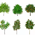 Six Varied Trees Displaying Lush Foliage And Colorful Fruits In Different Hues