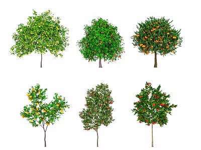 Six Varied Trees Displaying Lush Foliage And Colorful Fruits In Different Hues 3d model