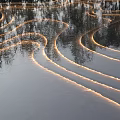 Waterfront Landscape with Curved Lines on Shimmering Water Surface and Tree Reflections under Soft Lighting