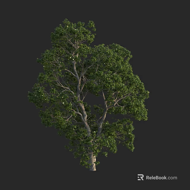 Tall Arbor With Lush Green Foliage And Strong Trunk In Natural Setting 3d model 