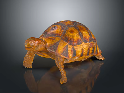 Brown Orange Patterned Tortoise with Detailed Textured Shell Standing on Smooth Surface 3d model