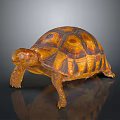 Brown Orange Patterned Tortoise with Detailed Textured Shell Standing on Smooth Surface 3d model