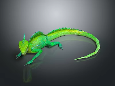 Vibrant Green Reptile Lizard With Spiky Dorsal Spines Slender Body On Reflective Surface 3d model