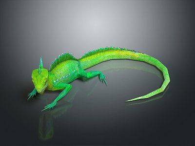 Lizard Anime Lizard Chameleon Cartoon Lizard Reptile Cold Blooded Animal Reptile Class 3d model