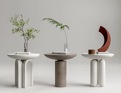 Modern Side Tables with Arched Cylindrical Bases and Plants Books Vase Decorative Items 3d model