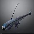 Unique Deep Sea Fish With Long Spike Sharp Teeth And Blue Body